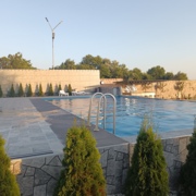 Դրախտիկա