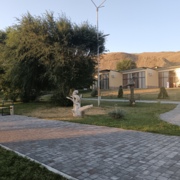 Դրախտիկա