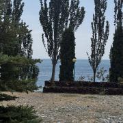 Տարոն