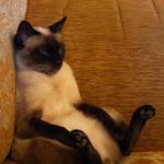 Armine's B&B